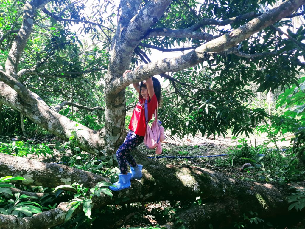 4 yr old girl climbing a tree